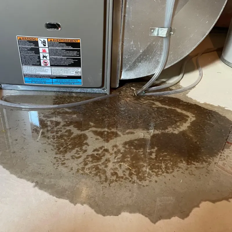 Appliance Leak Cleanup in Morristown, VT